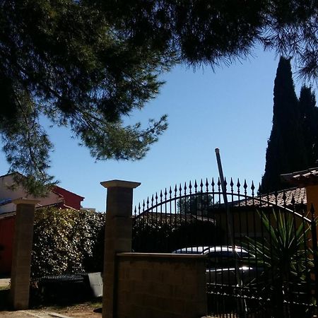 Chambres De La Terre Blanche Sanary-sur-Mer Phòng bức ảnh