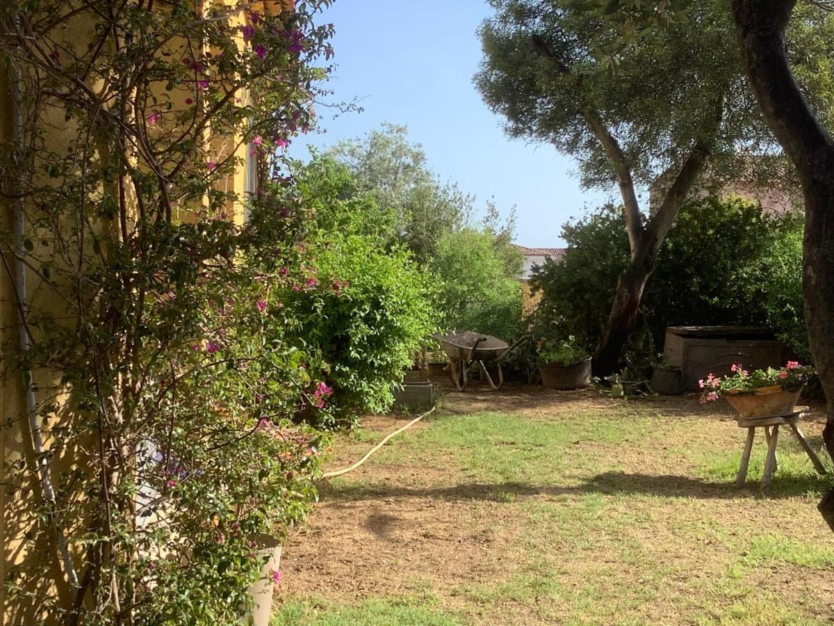 Chambres De La Terre Blanche Sanary-sur-Mer Ngoại thất bức ảnh