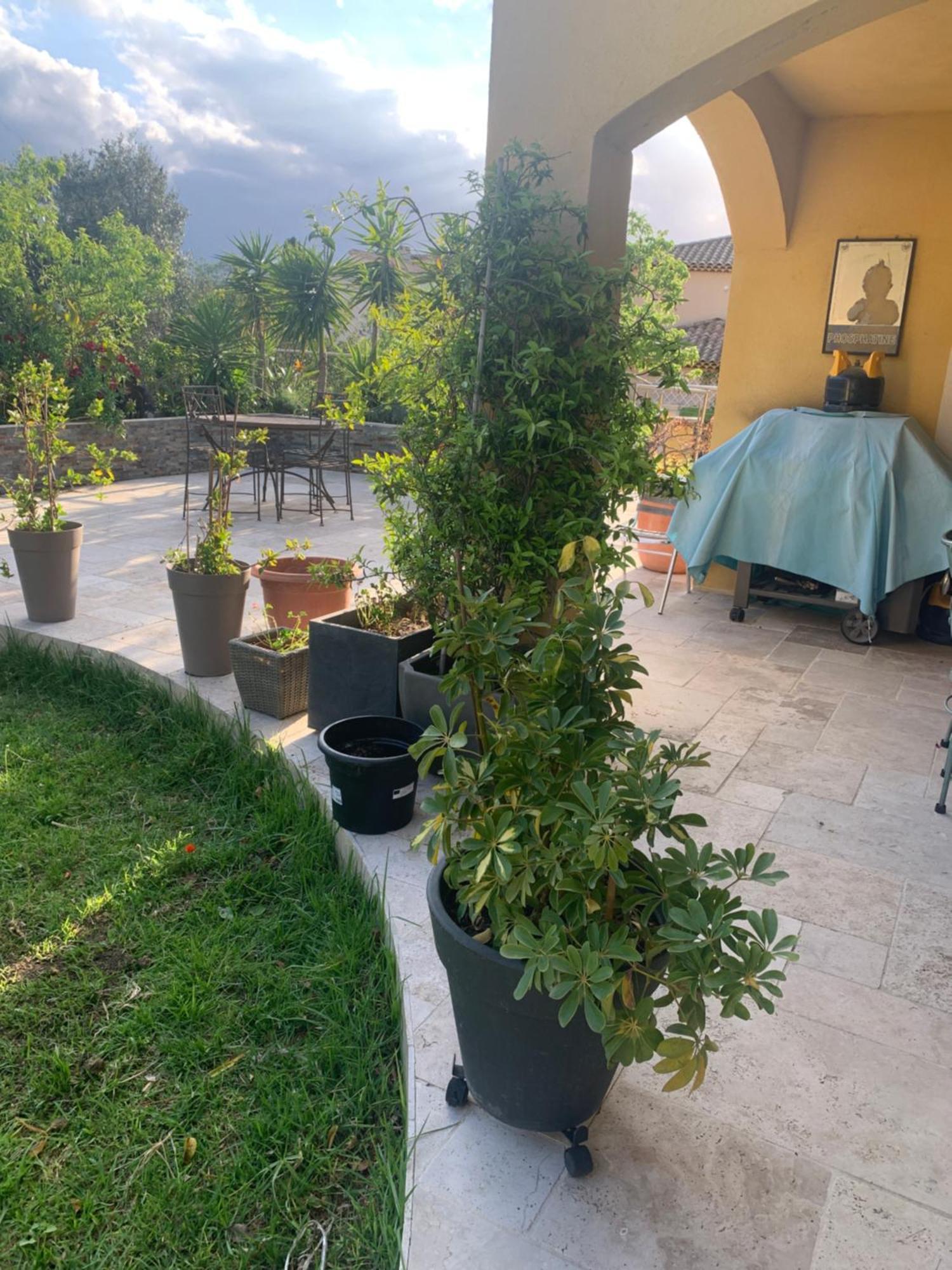 Chambres De La Terre Blanche Sanary-sur-Mer Ngoại thất bức ảnh